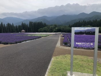 暑い夏こそドライブに！！